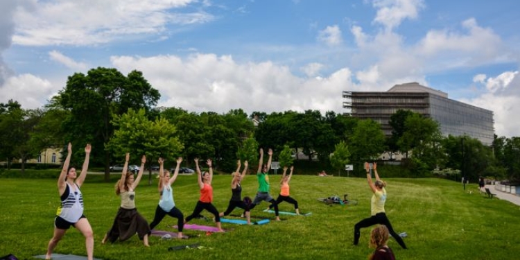 Group doing outdoor yoga on a grassy field.