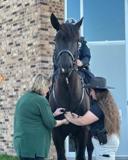 New Mounted Patrol Horse Spirit getting official badge