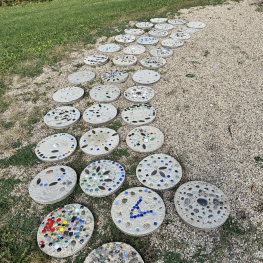 Sandburg Neighborhood Project